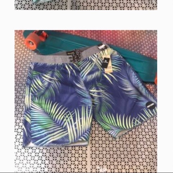 🌻ROXY🌻 - Picture 3 of 4